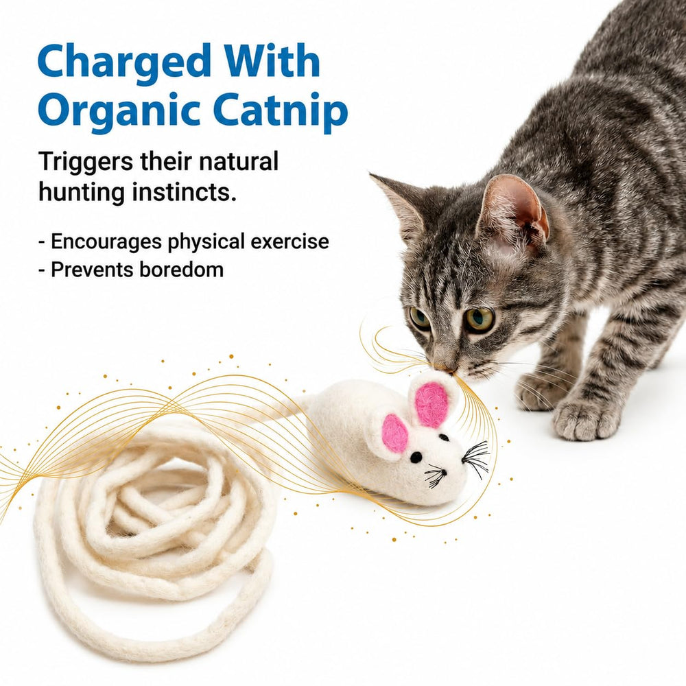 Glaciart One: échantillon de cataire inclus, attractif pour la plupart des chats