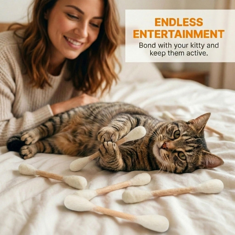 Glaciart One chat en train de chasser le bâtonnet stimulant l'exercice