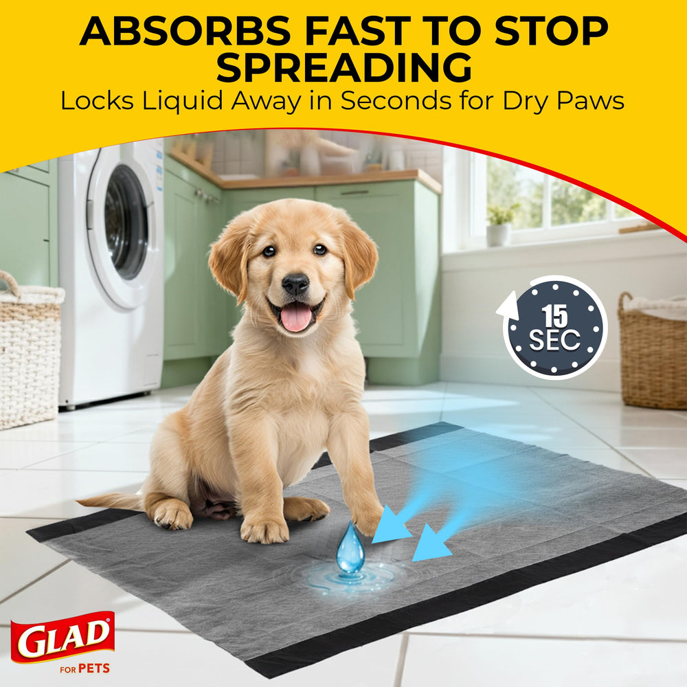 Glad base en polymère gel retenant le liquide et protégeant le sol