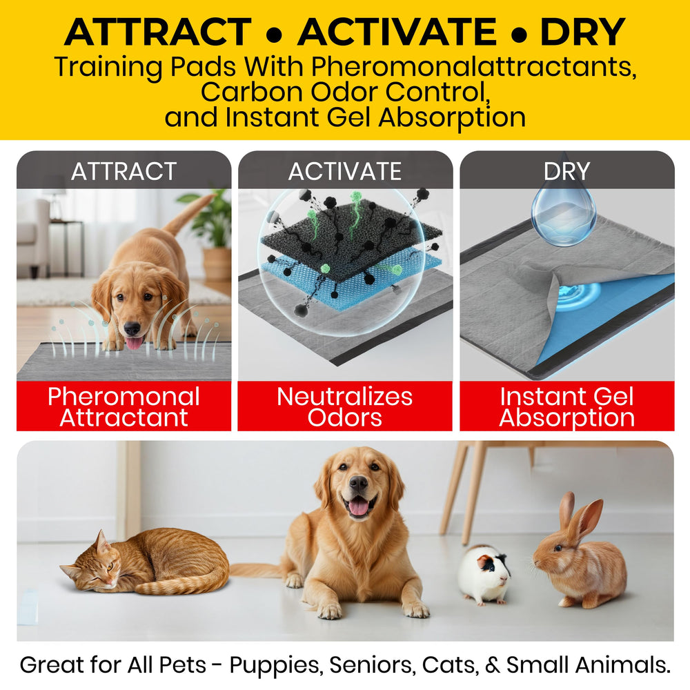 Glad coussin absorbant liquide en action réduisant les traces et odeurs