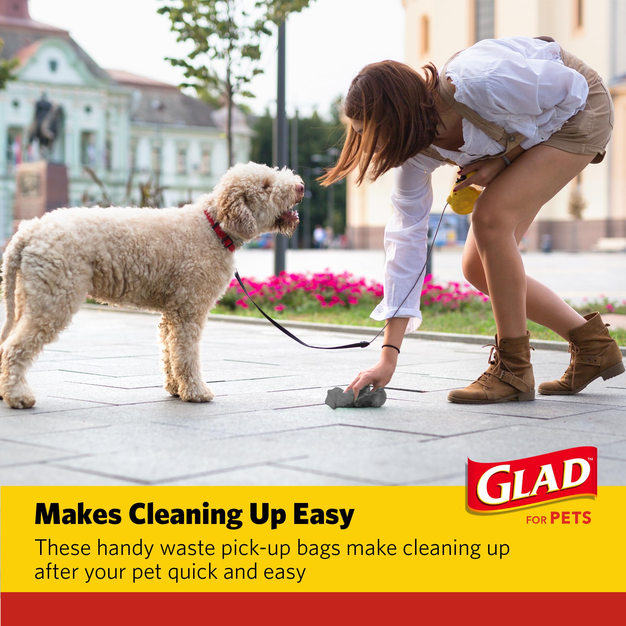 Glad sac utilisé en promenade pour ramasser déjections proprement