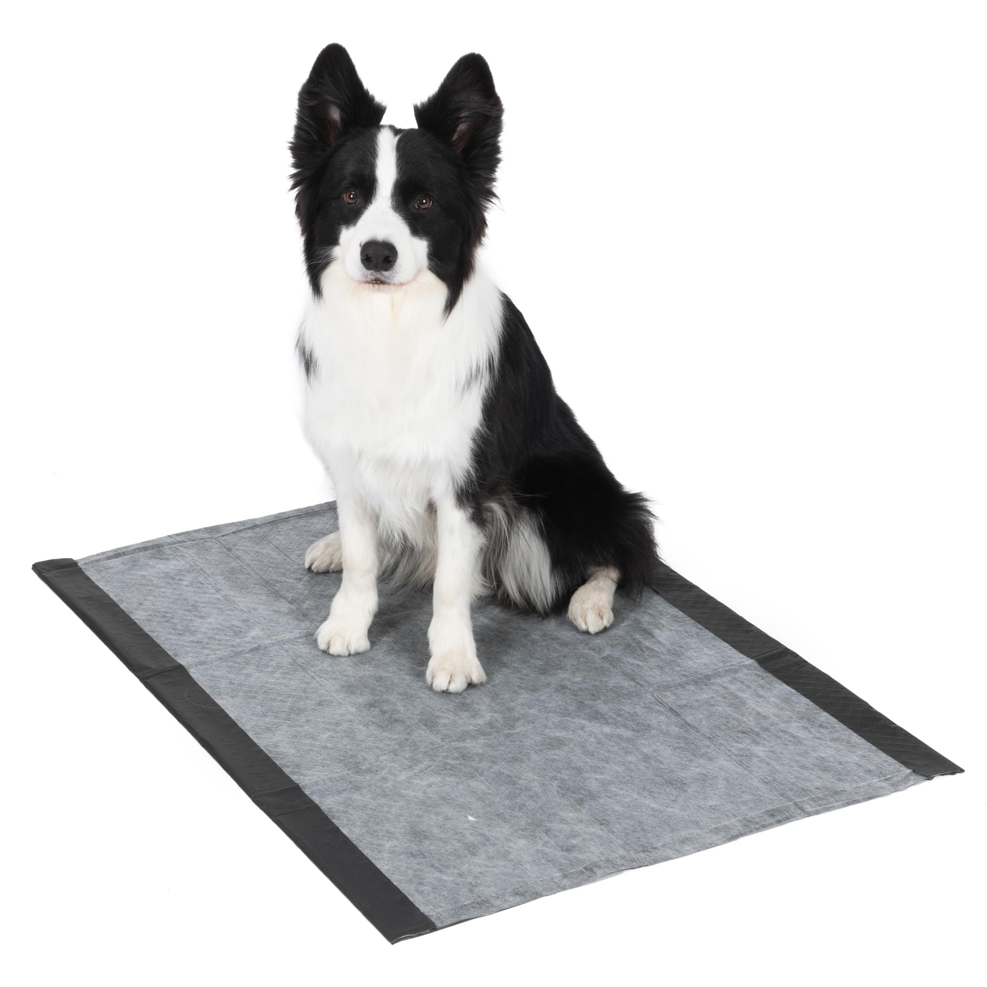 Glad for Pets comparaison taille montrant couverture extra-large pour grands chiens