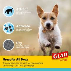 Glad coupe transversale révélant couche polymère gel anti-fuite