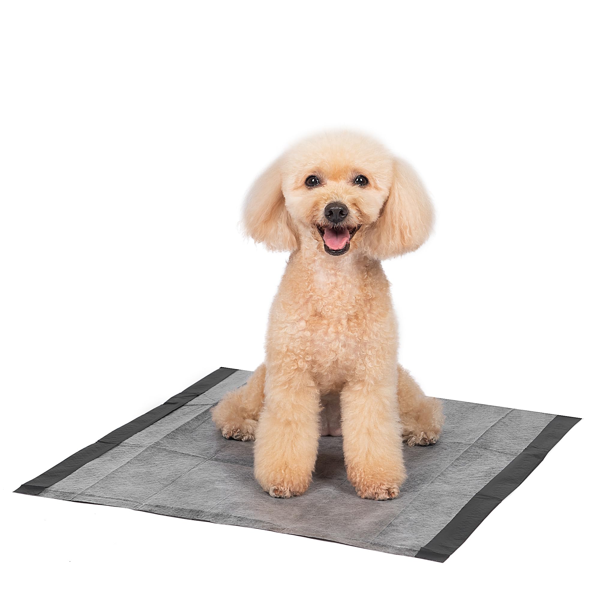 Glad tapis dans parc de chiots montrant apprentissage de la propreté