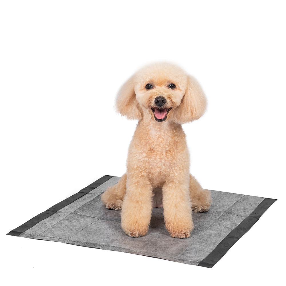Glad tapis dans parc de chiots montrant apprentissage de la propreté