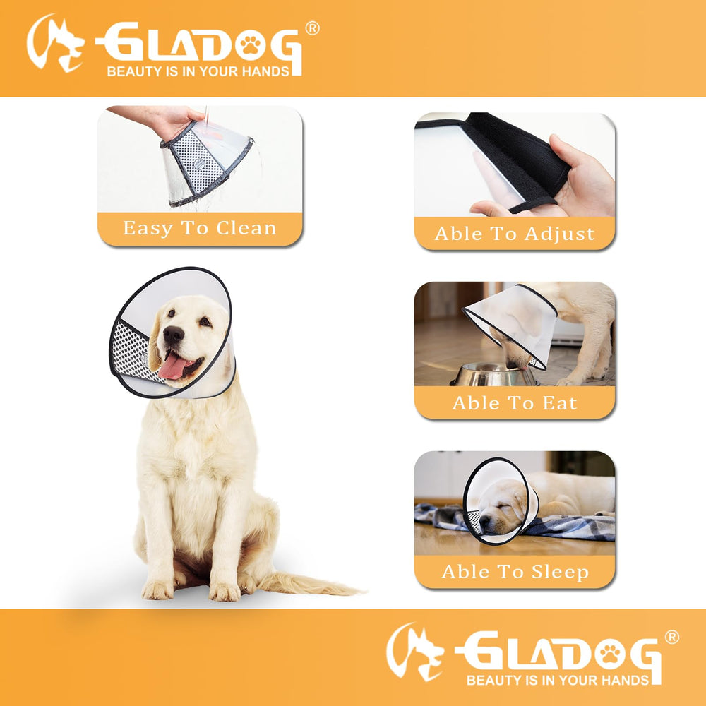 GLADOG collier en situation domestique, protection discrète pendant repos