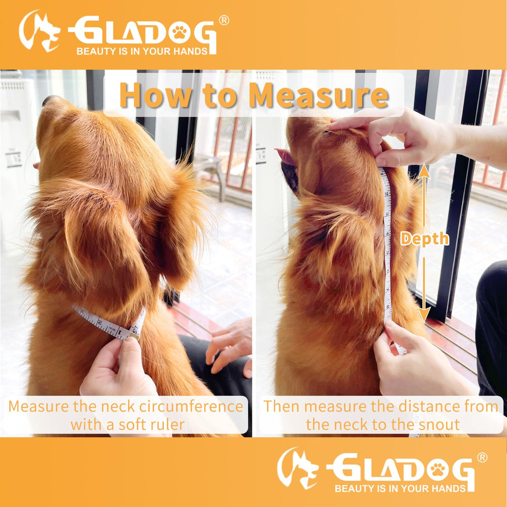 GLADOG collier porté par un chien, permet manger et bouger librement