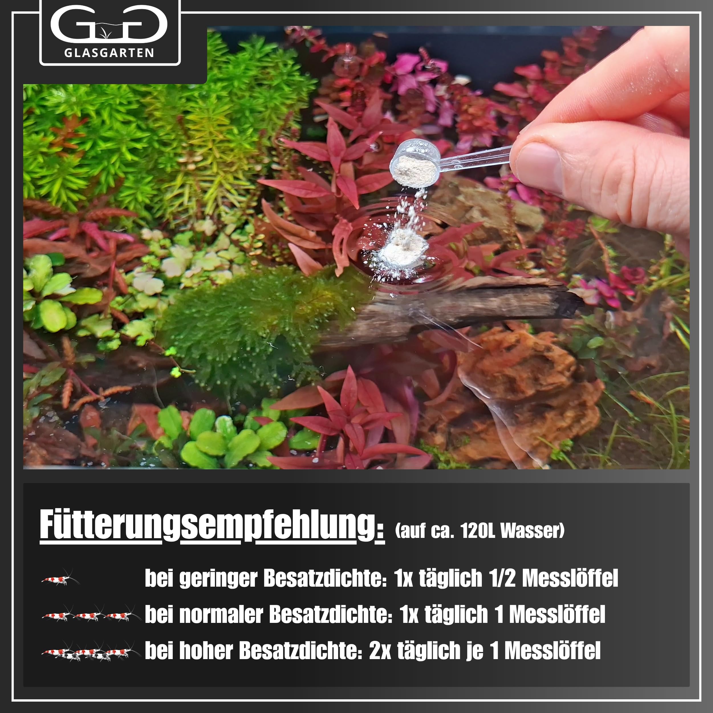 GlasGarten 70 g comparé à objet courant pour visualiser l'échelle