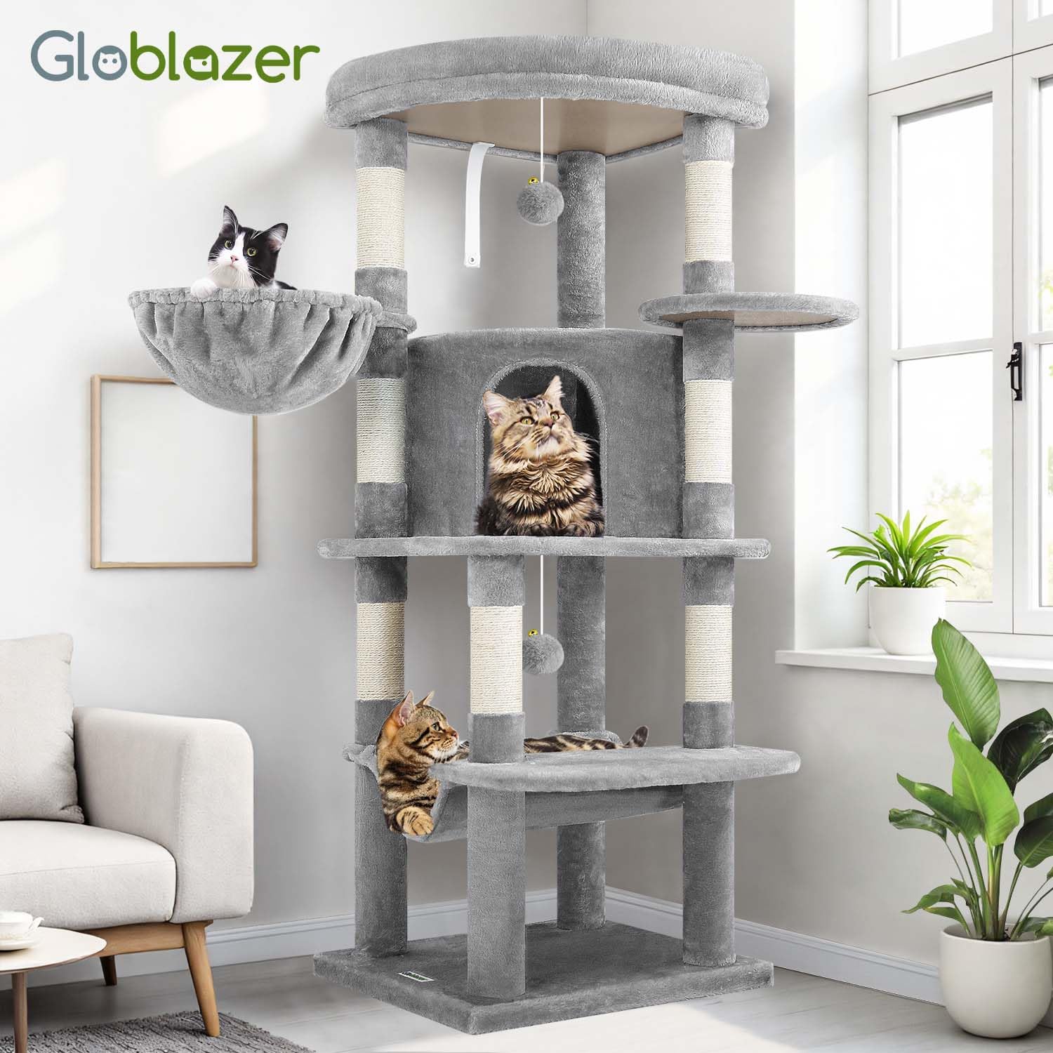 Globlazer échelle montrant l'échelle de taille avec chat pour perspective