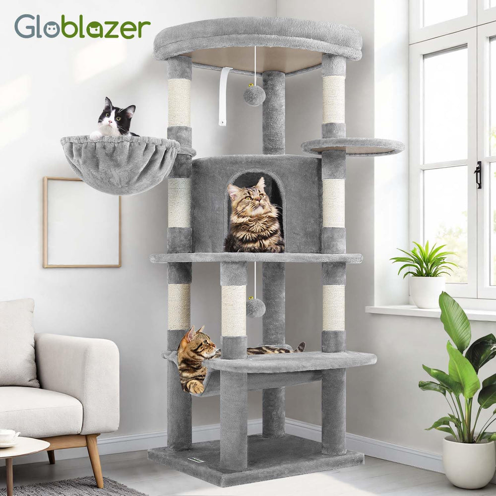 Globlazer échelle montrant l'échelle de taille avec chat pour perspective