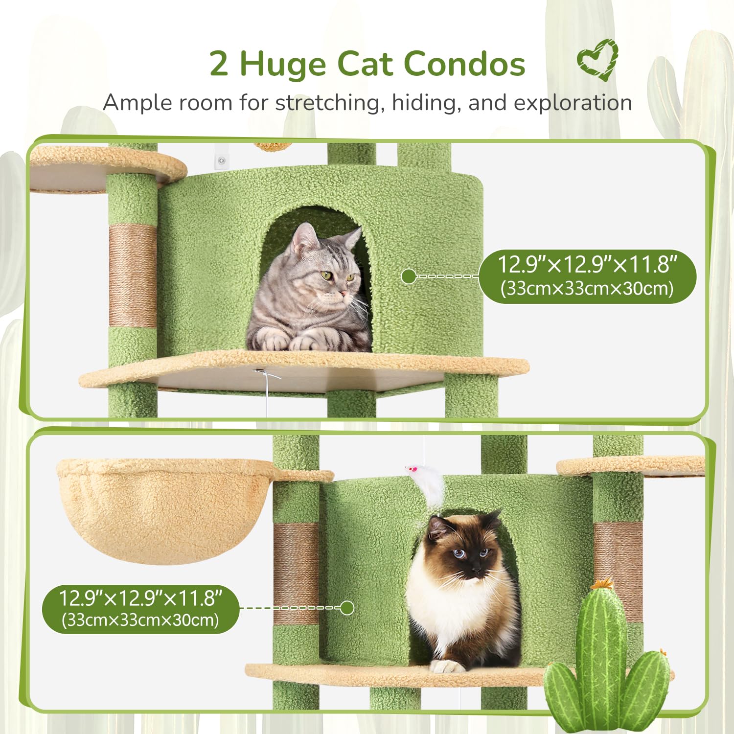 Plateforme en éventail Globlazer C66 montrant espace pour plusieurs chats