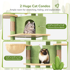 Plateforme en éventail Globlazer C66 montrant espace pour plusieurs chats