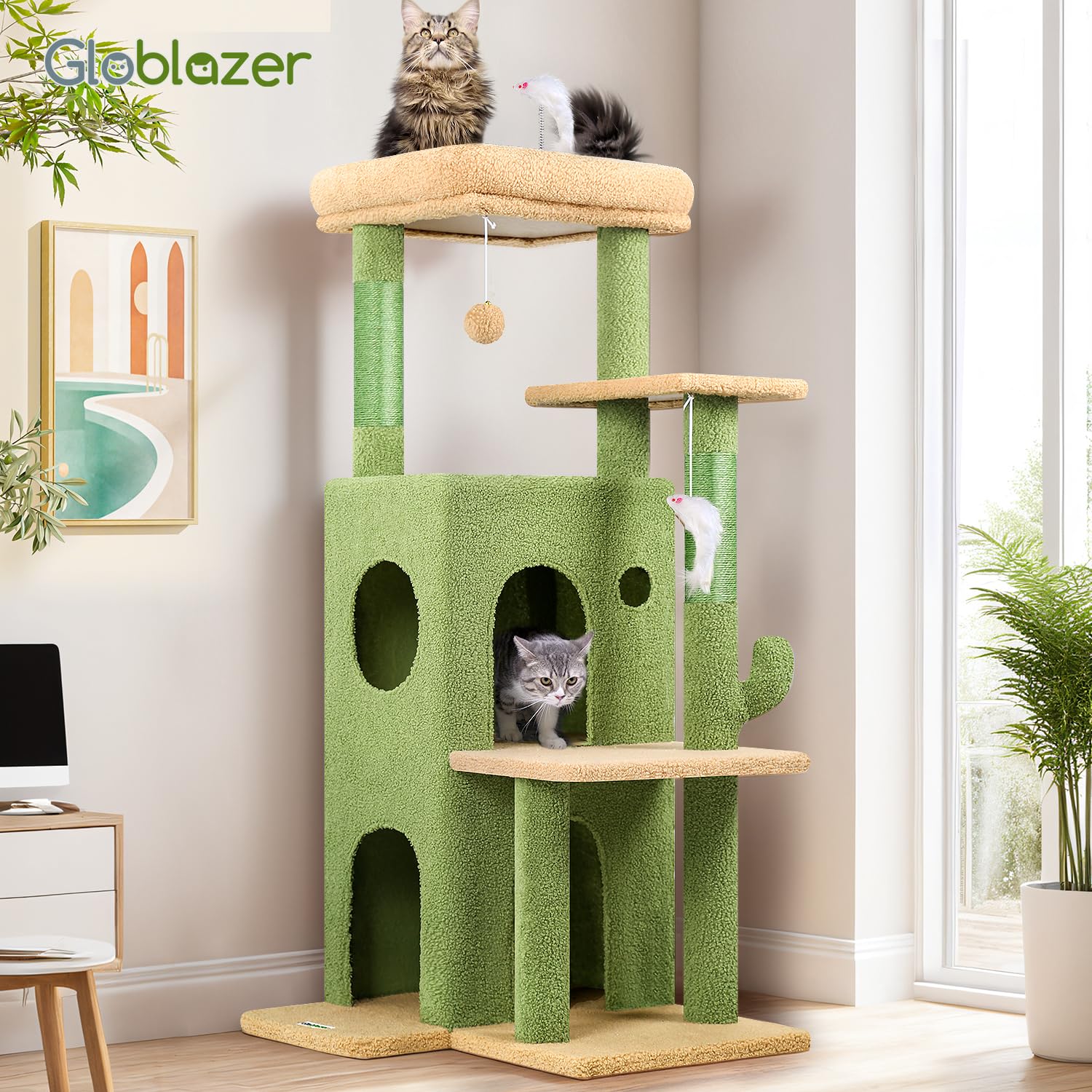 Globlazer comparaison taille avec chat adulte, adapté aux chats lourds