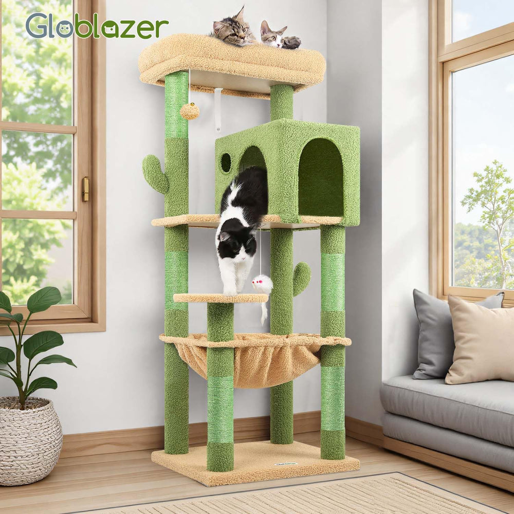 Globlazer arbre à chat en situation dans salon décoratif et fonctionnel