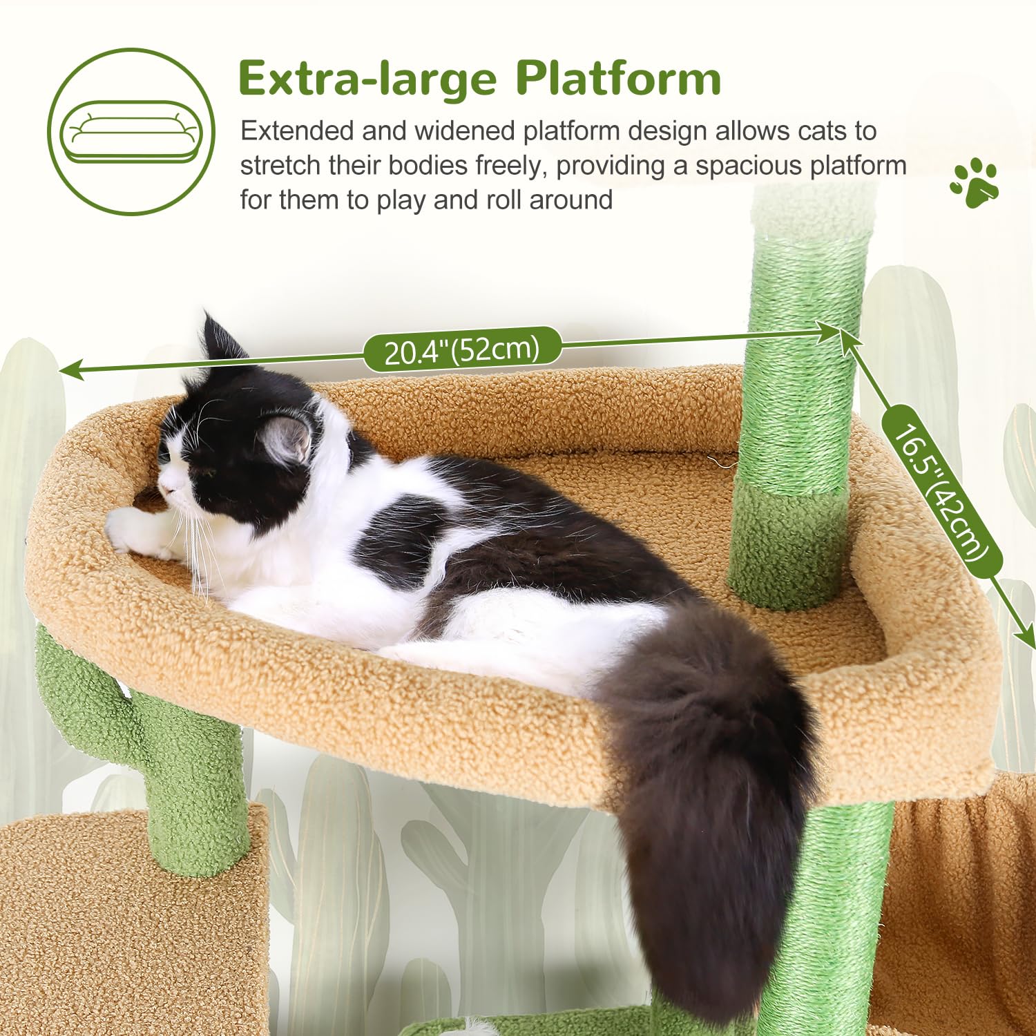 Globlazer plateforme surdimensionnée offrant confort pour grands chats