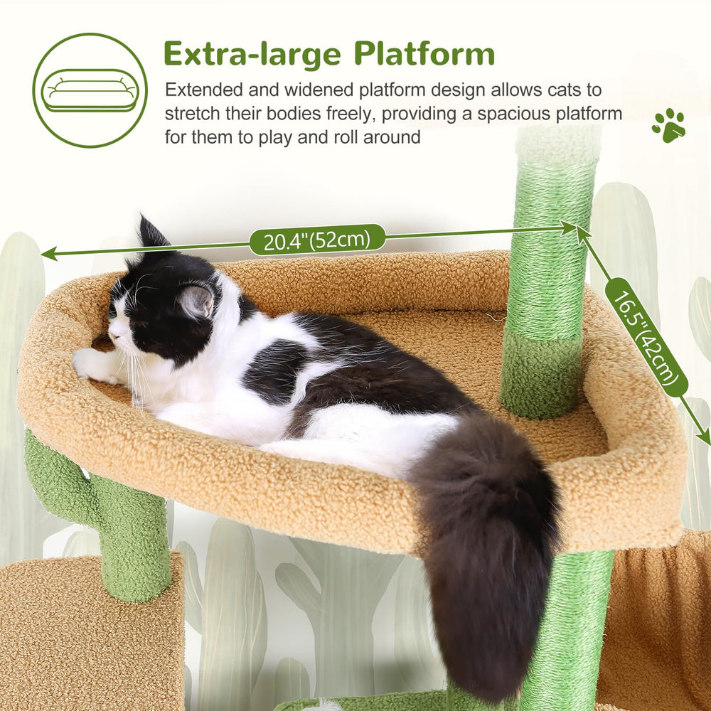 Globlazer plateforme surdimensionnée offrant confort pour grands chats