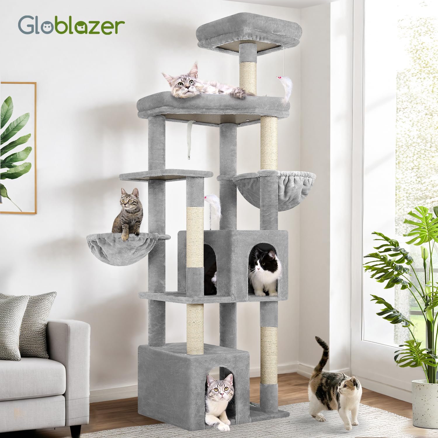 Globlazer comparaison d'échelle montrant hauteur 68 pouces et proportions