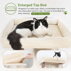 Globlazer gros plan du tissu rembourré du perchoir, confort lavable pour chat