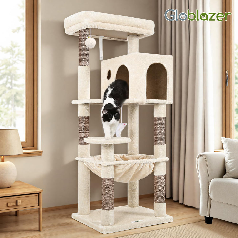 Globlazer présentation comparative de taille montrant échelle et proportions