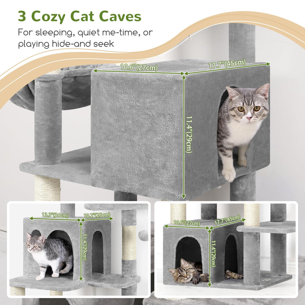 Globlazer condo intérieur montrant espace de repos sécurisé pour chat