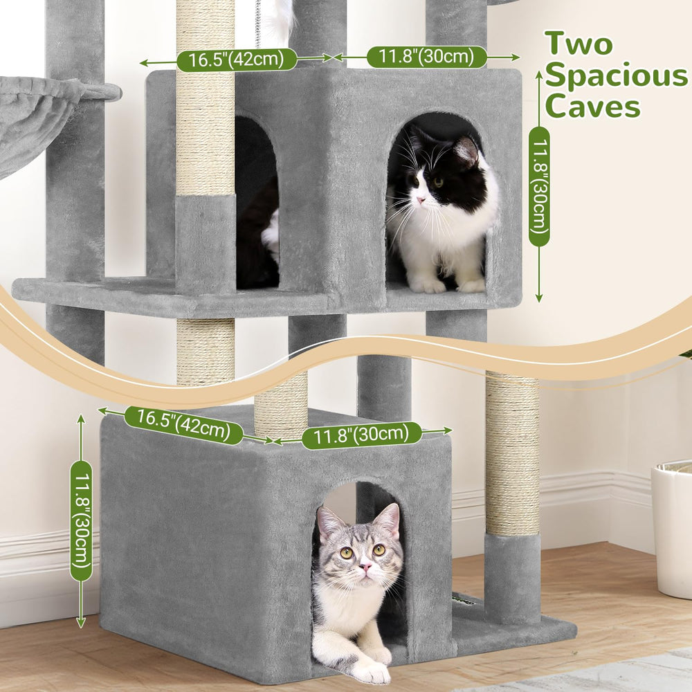 Globlazer grande niche intérieure offrant refuge spacieux pour chat adulte