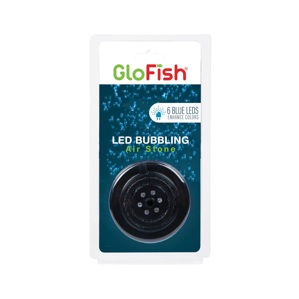GloFish pierre à bulles face avant montrant LED bleues pour couleurs vives