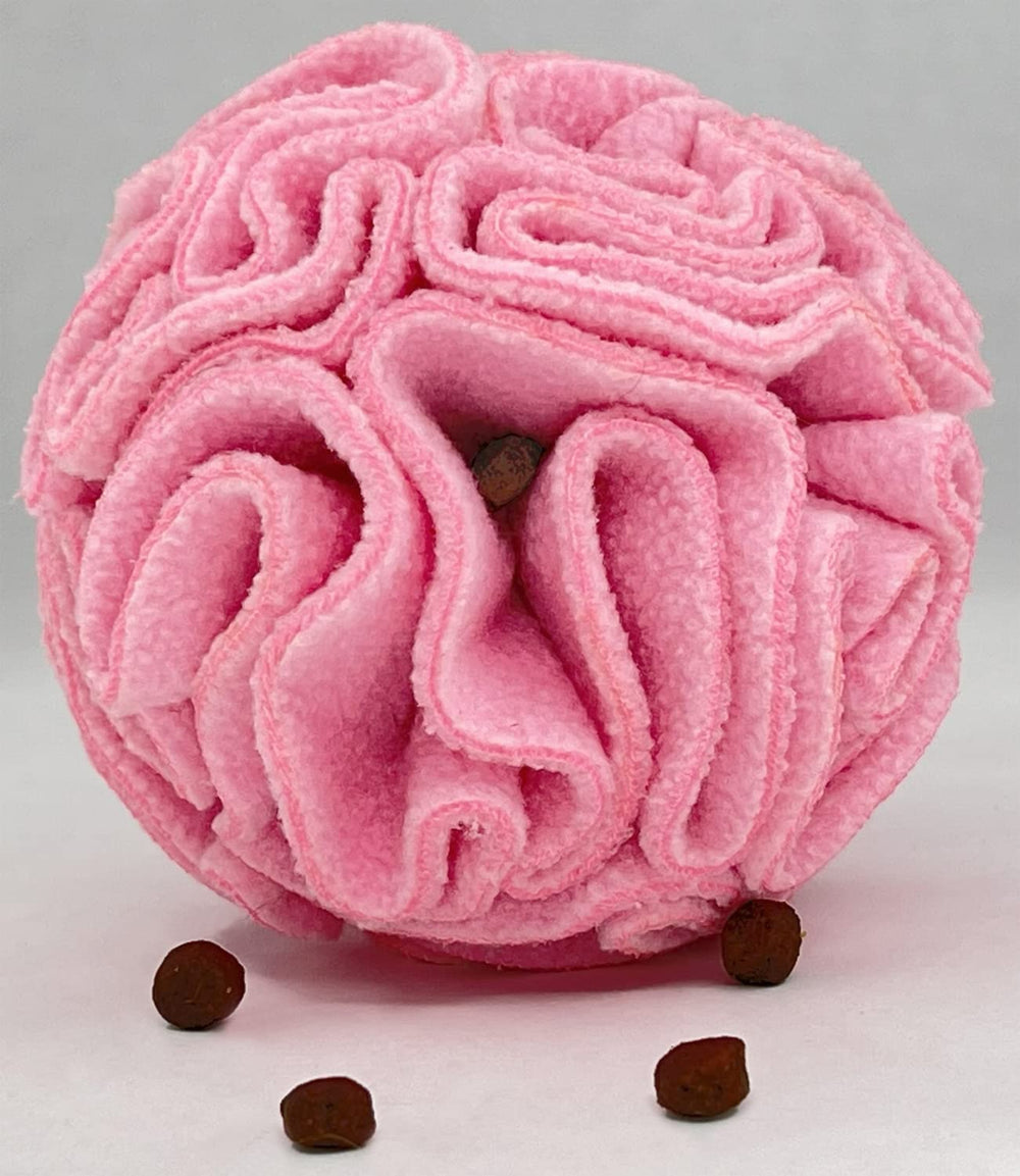 Glory To Dog chiot jouant avec la balle rose, encourage l'odorat et l'activité mentale
