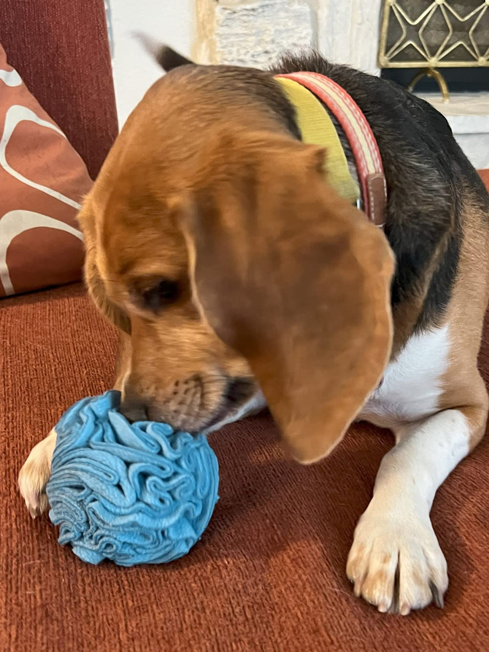 Glory To Dog snuffle ball dans machine à laver délicate, entretien facile