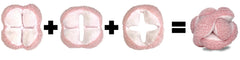 Glory To Dog chien en train de fouiller le jouet, stimulation mentale