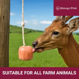 Glowyn Pink bloc sur corde accroché pour une installation facile