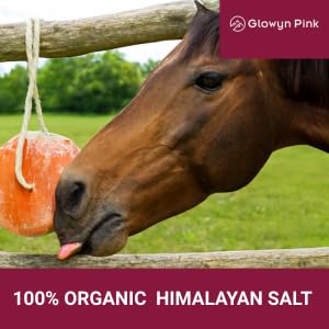 Glowyn Pink cheval léchant le bloc stimulant l'hydratation