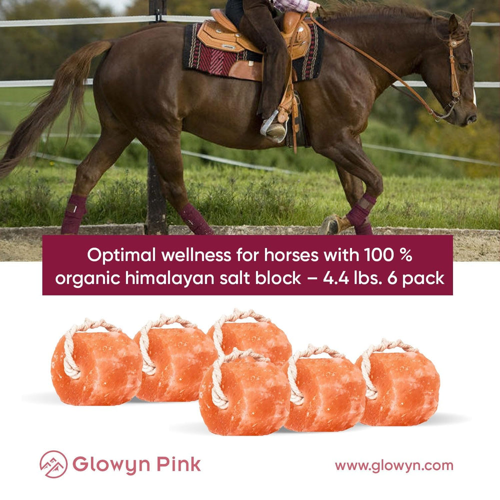 Glowyn Pink bloc en comparaison avec une main pour l'échelle