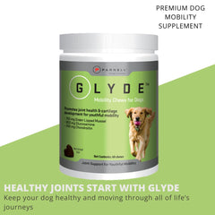 Gros plan chew GLYDE montrant texture tendre pour acceptation facile