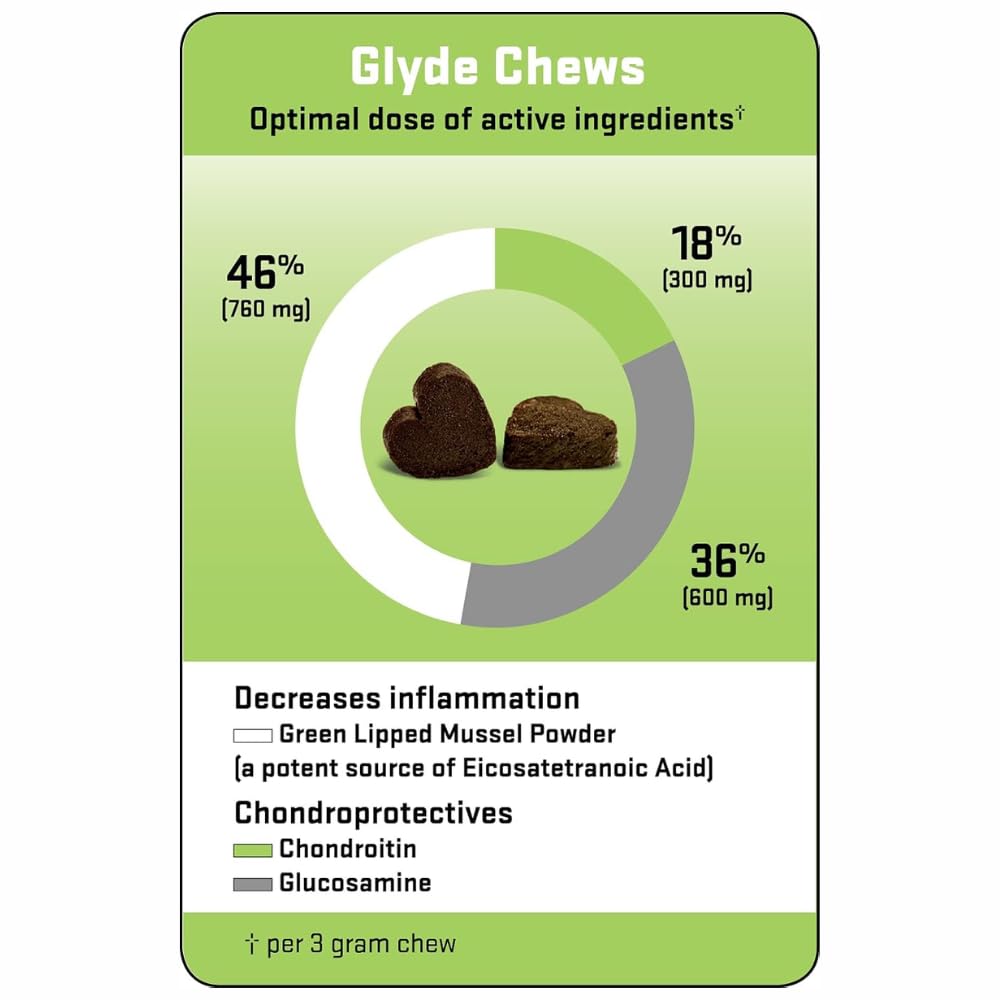Comparaison taille chew GLYDE à côté d'une patte pour échelle visuelle