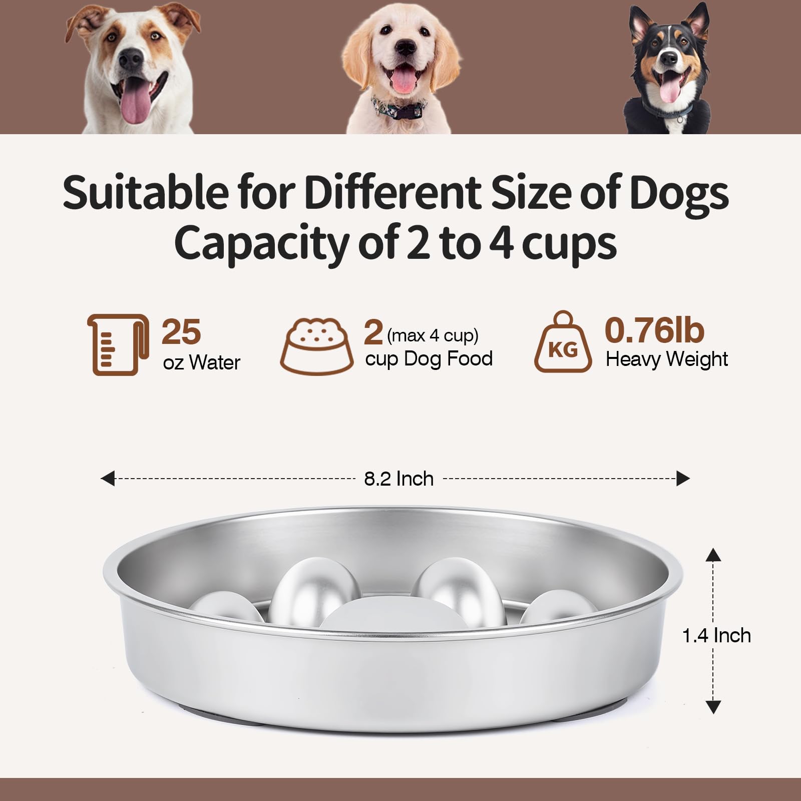 GLYVIAN chien en train de manger montrant stimulation et prise ralentie