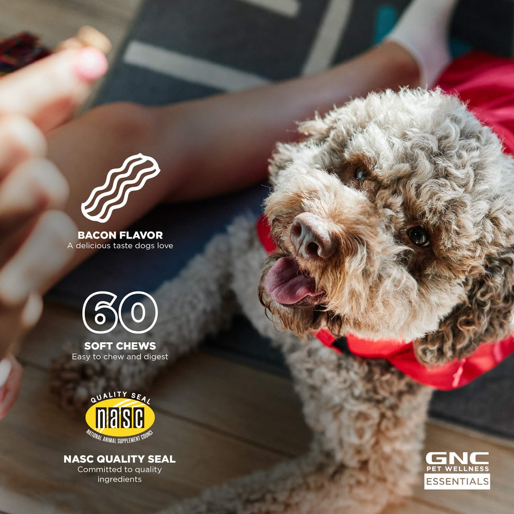 GNC friandise tenue en main et chien acceptant facilement le chew