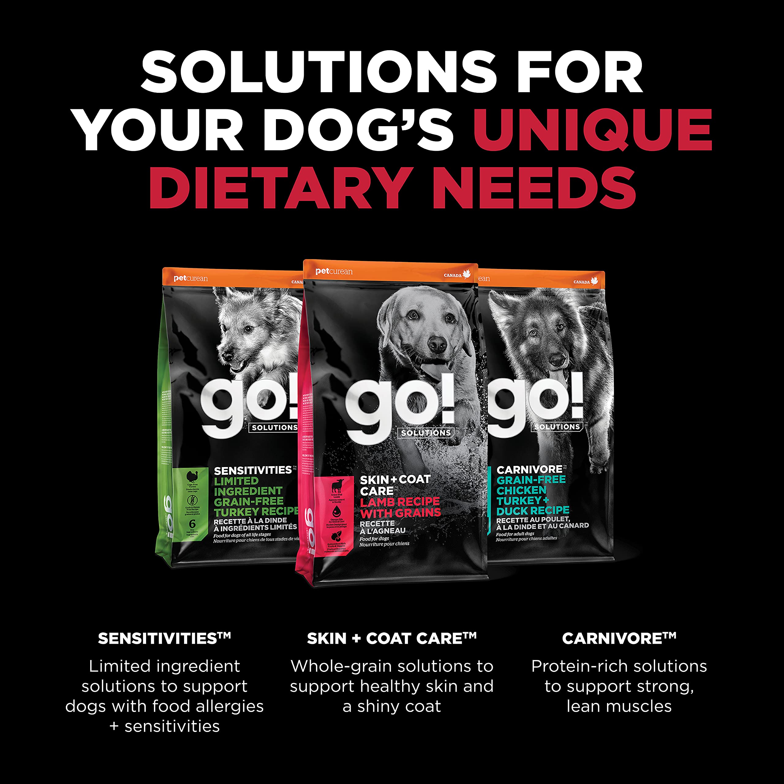 Go! Solutions chien adulte au pelage brillant, démontre l'effet nourrissant sur le poil