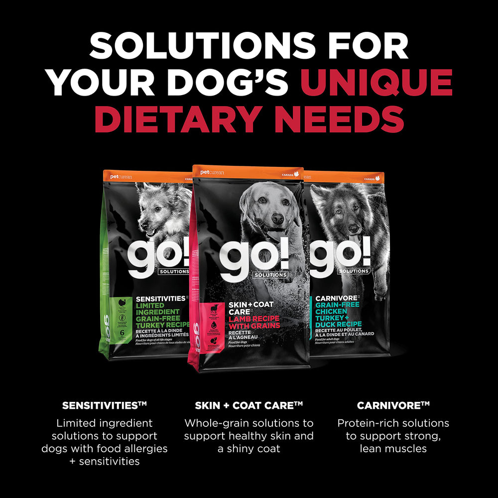 Go! Solutions chien adulte au pelage brillant, démontre l'effet nourrissant sur le poil