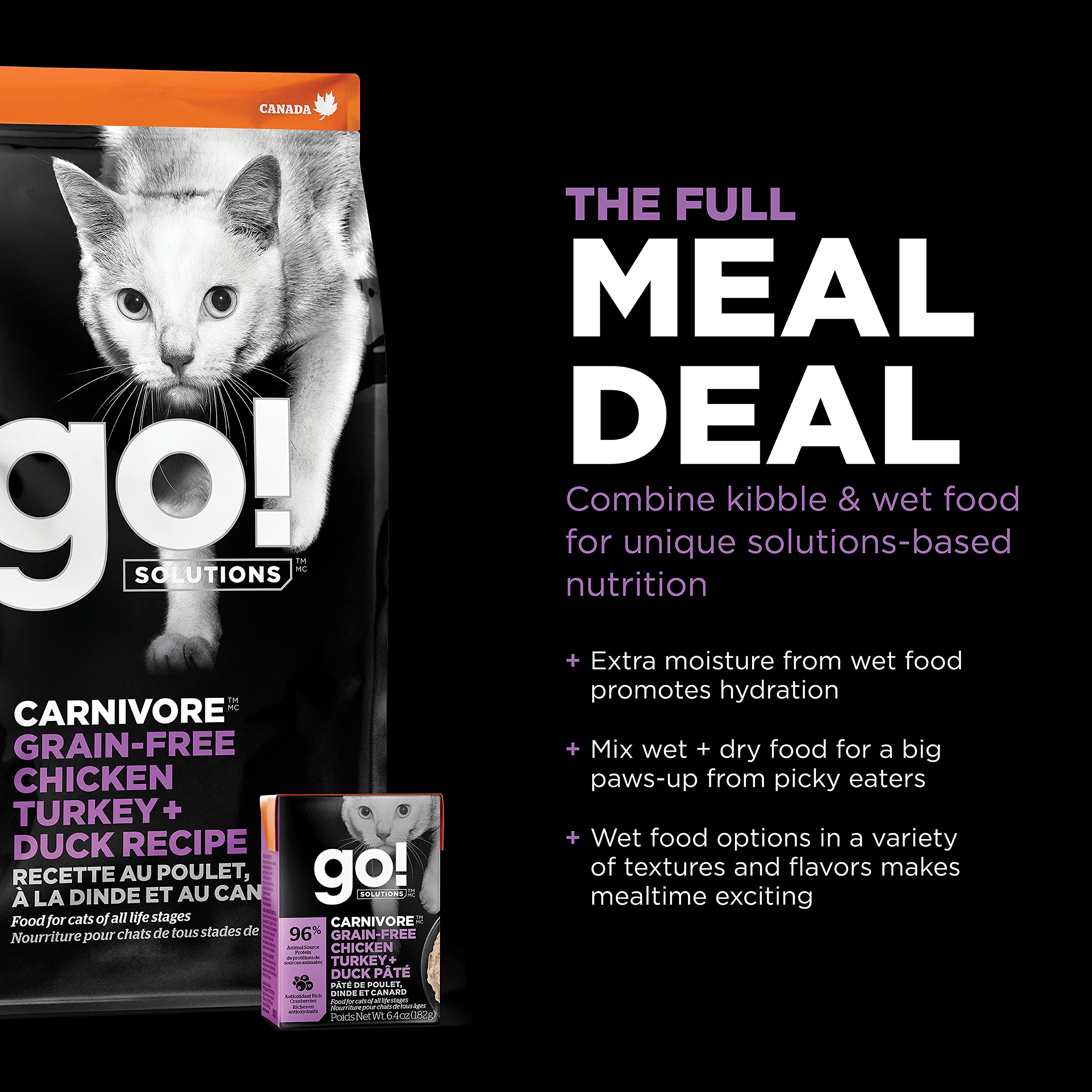 Go! Solutions chat mangeant la recette illustrant acceptation par chat exigeant