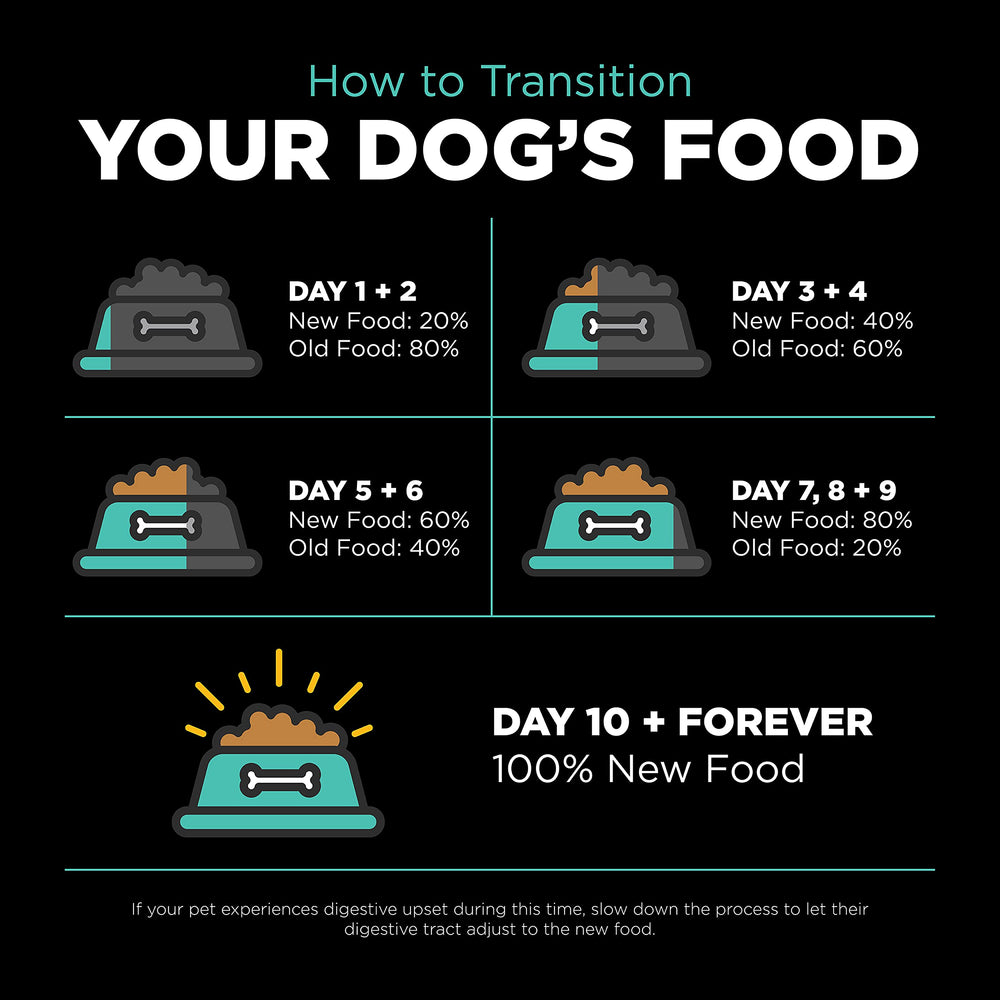 Go! Solutions chien enthousiaste mangeant en cuisine illustrant satisfaction