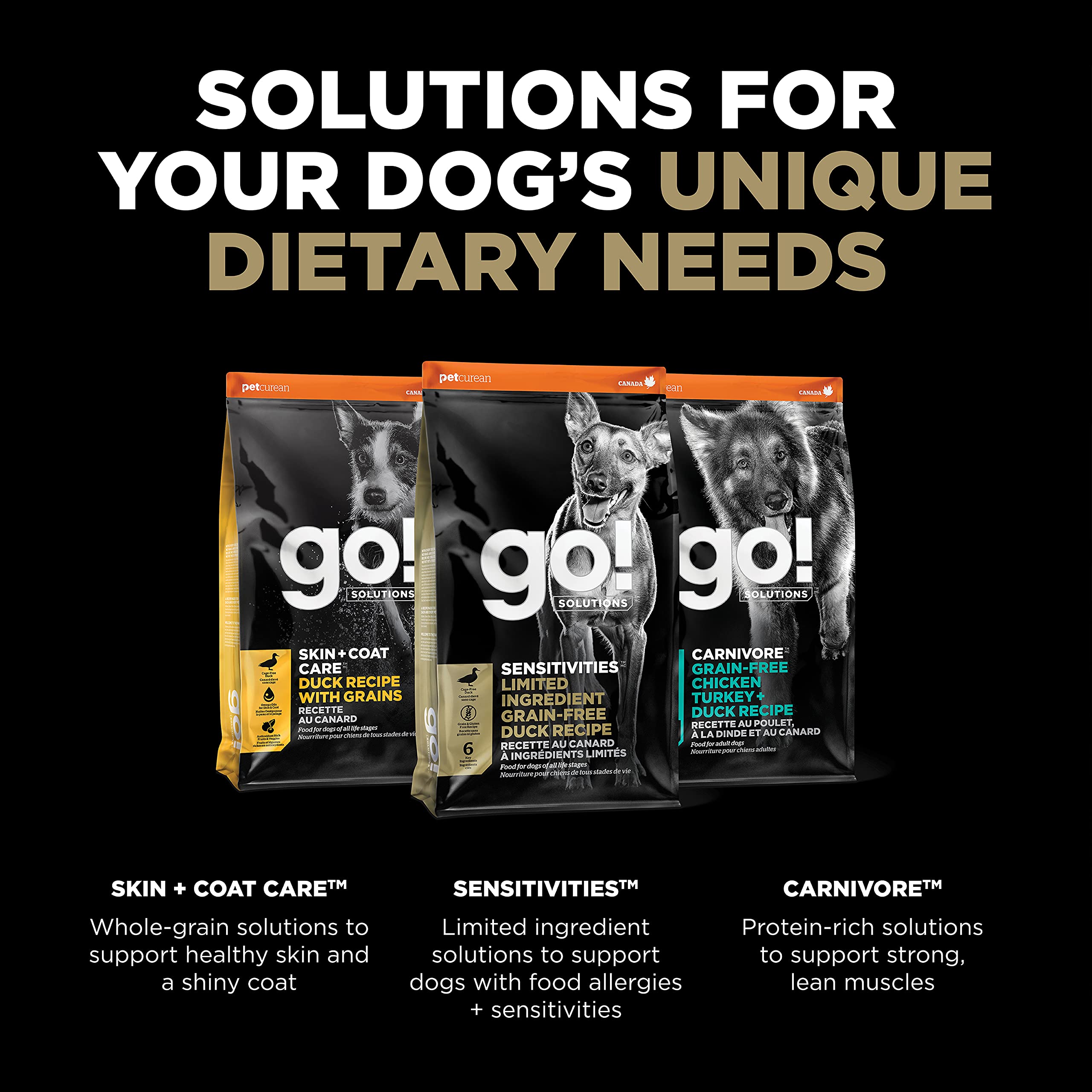 Go! Solutions chien mangeant dans le jardin montrant alimentation adaptée pour sensibilité