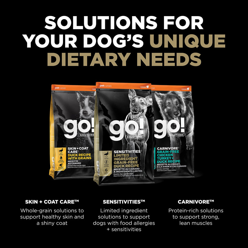 Go! Solutions chien mangeant dans le jardin montrant alimentation adaptée pour sensibilité