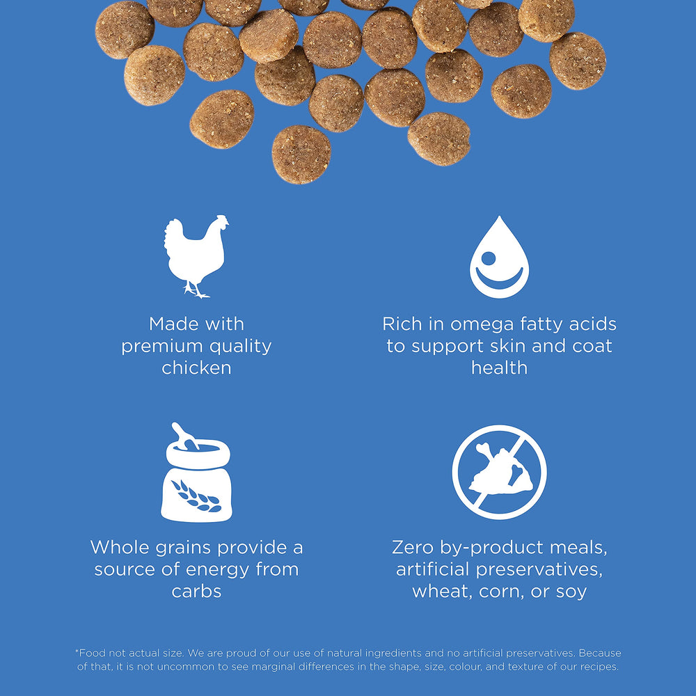 Go! Solutions chien mange, alimentation qui favorise pelage brillant