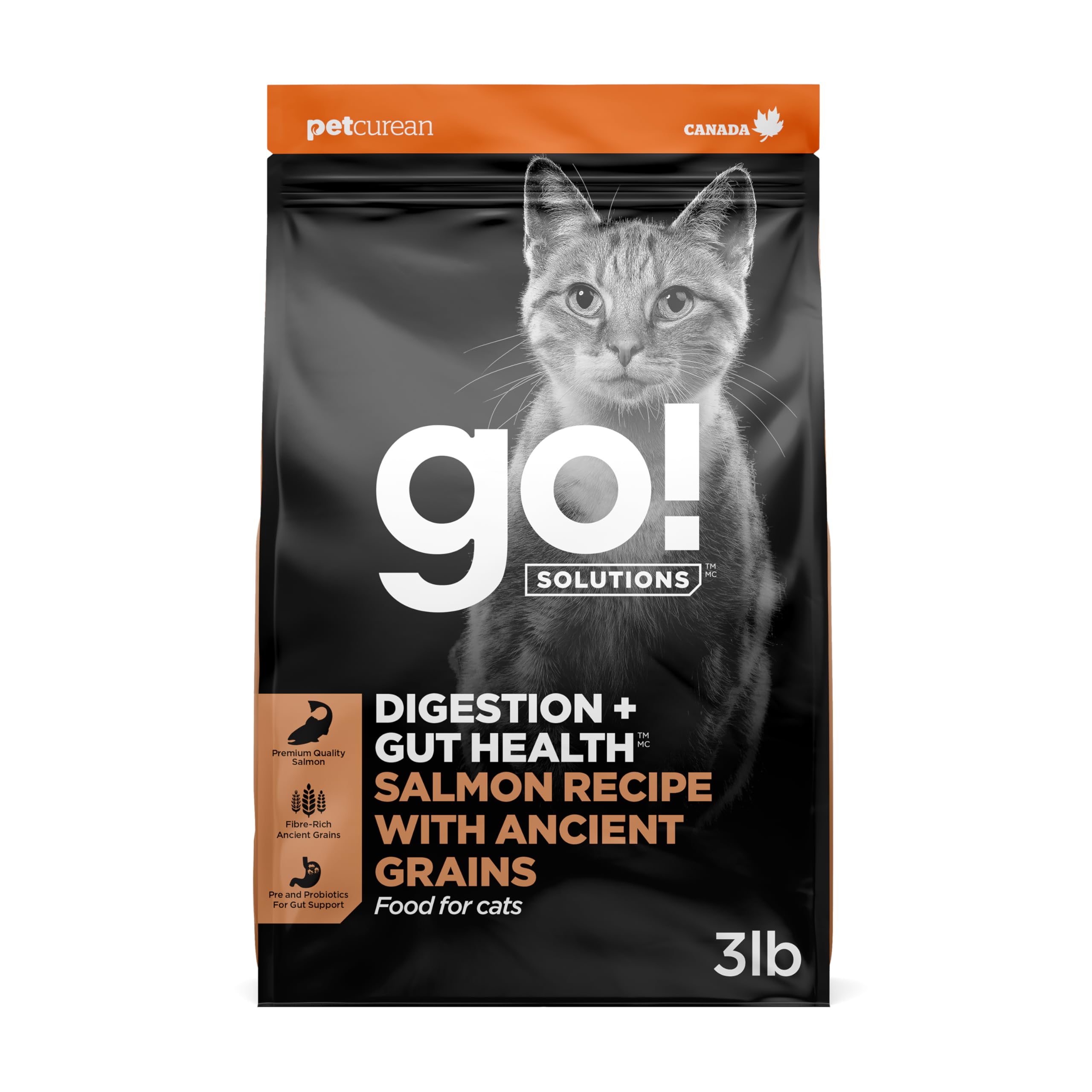 Go! Solutions emballage avant montrant la recette saumon et bénéfice digestion