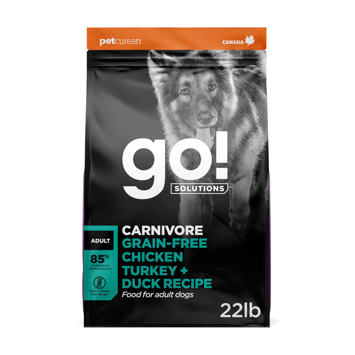 Go! Solutions emballage face montrant la recette Carnivore 22 lb et lisibilité