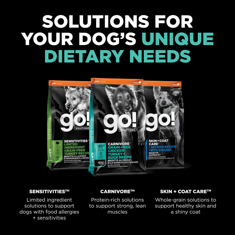 Go! Solutions composition d’ingrédients animaux variés pour goût et protéines