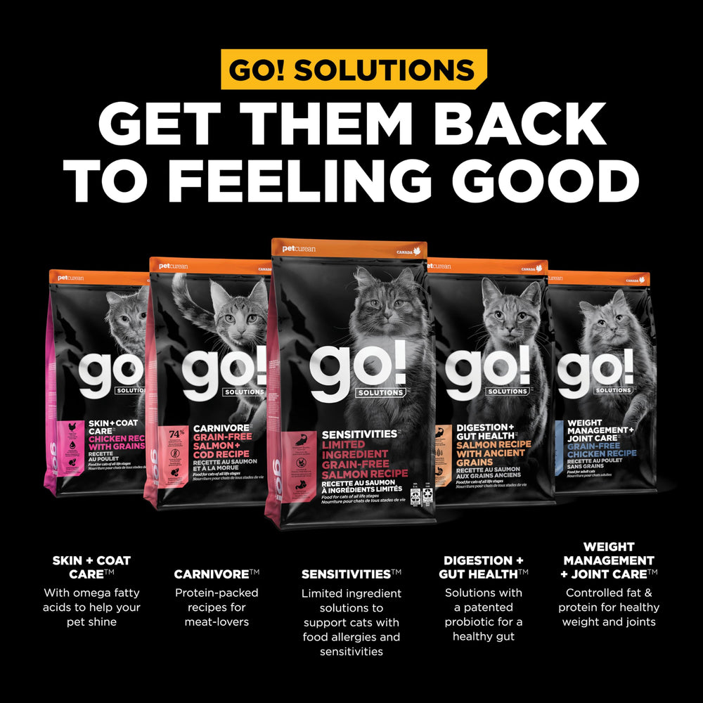 Go! Solutions saumon frais utilisé comme source protéique principale