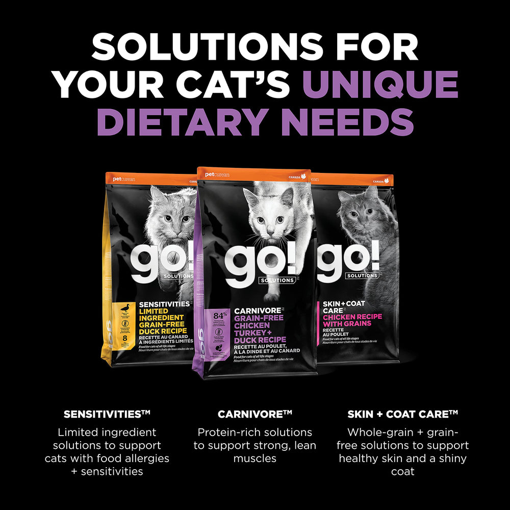 Go! Solutions portion servie dans une assiette pour un repas complet
