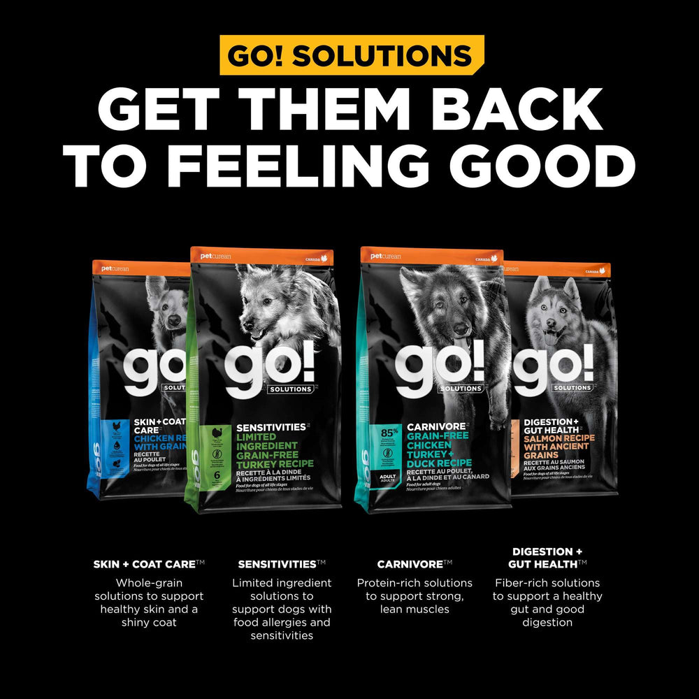 Go! Solutions psyllium en gros plan, fibre naturelle aidant la satiété digestive