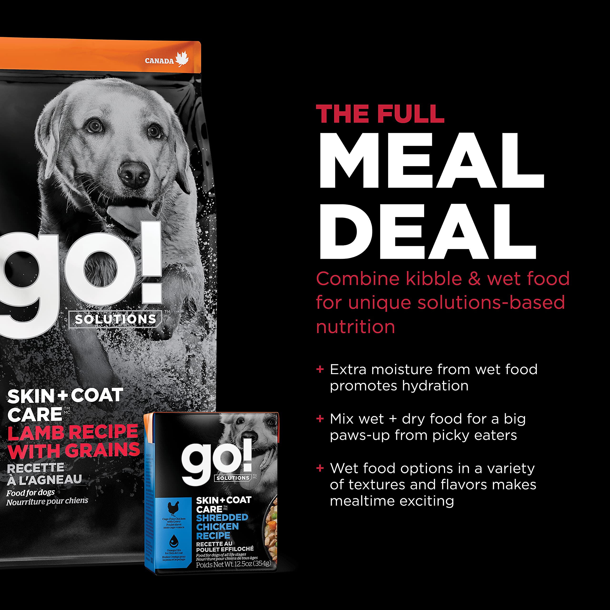 Go! Solutions chien senior se reposant, met en avant le confort des coussinets et la récupération cutanée